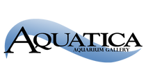 Aquatica Superstore