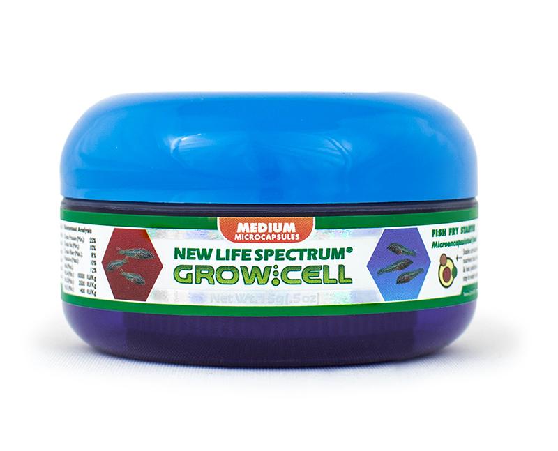 Advanced Cell Formulas