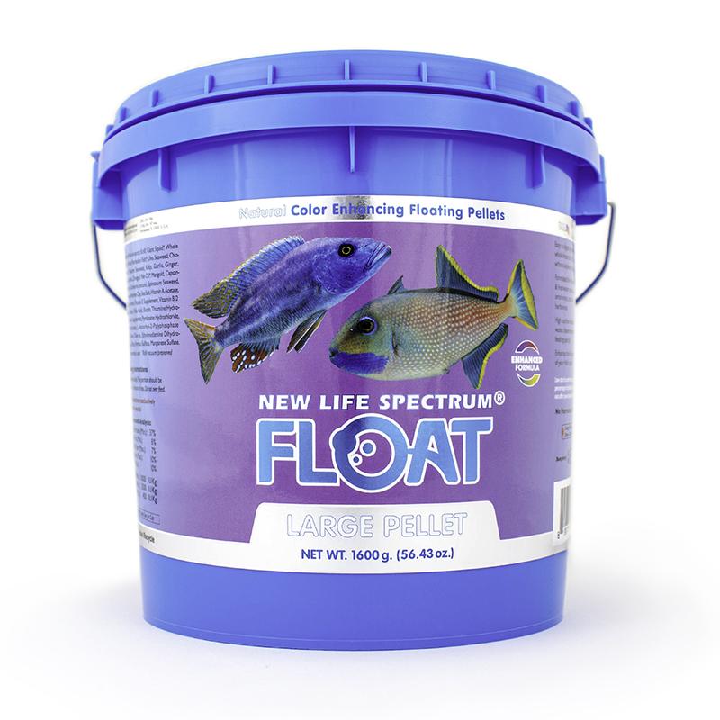 Spectrum FLOAT (Original)
