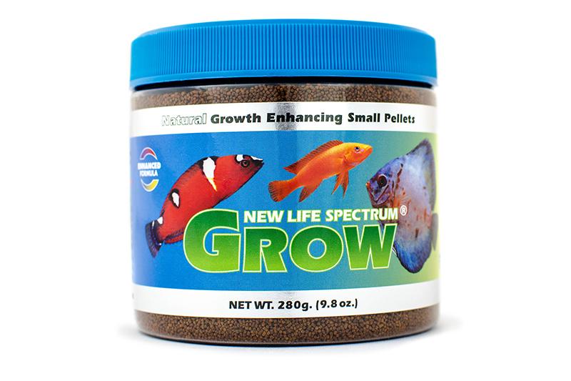 Grow (Original)