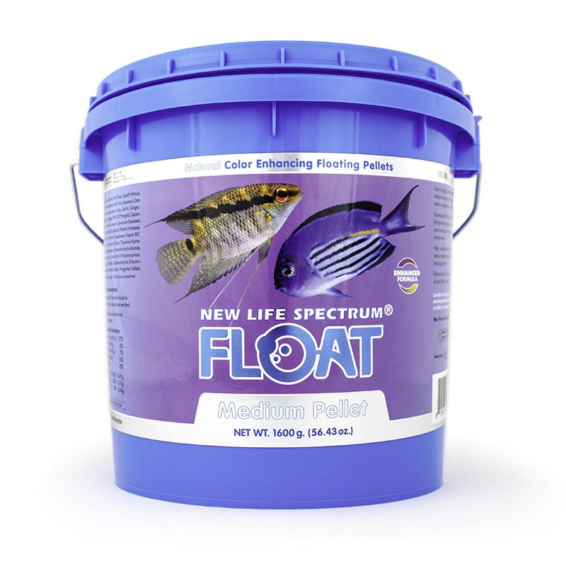 Spectrum FLOAT (Original)