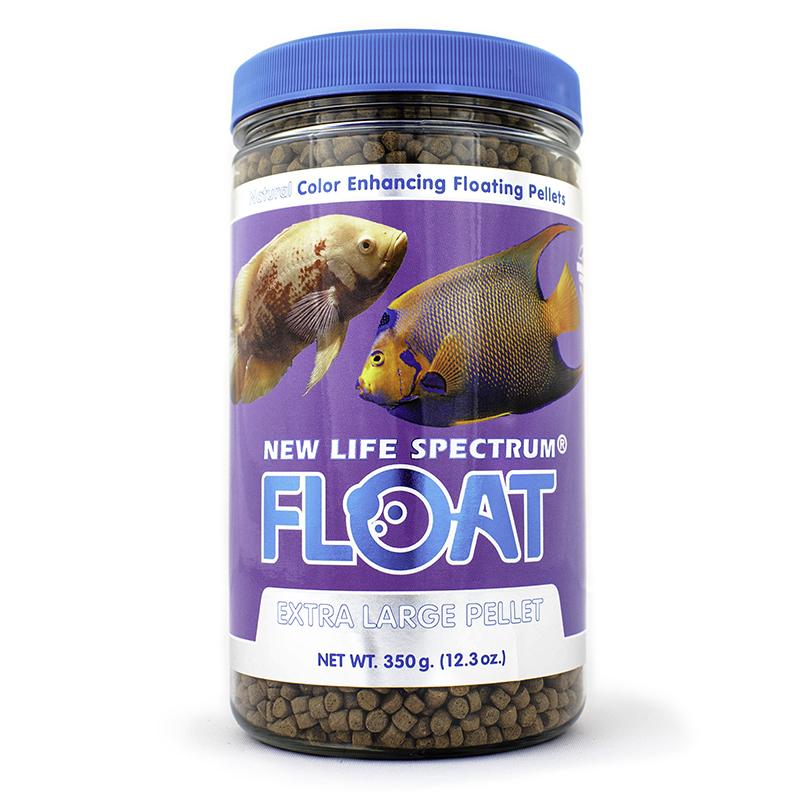 Spectrum FLOAT (Original)