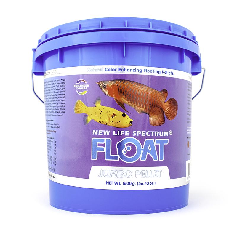 Spectrum FLOAT (Original)