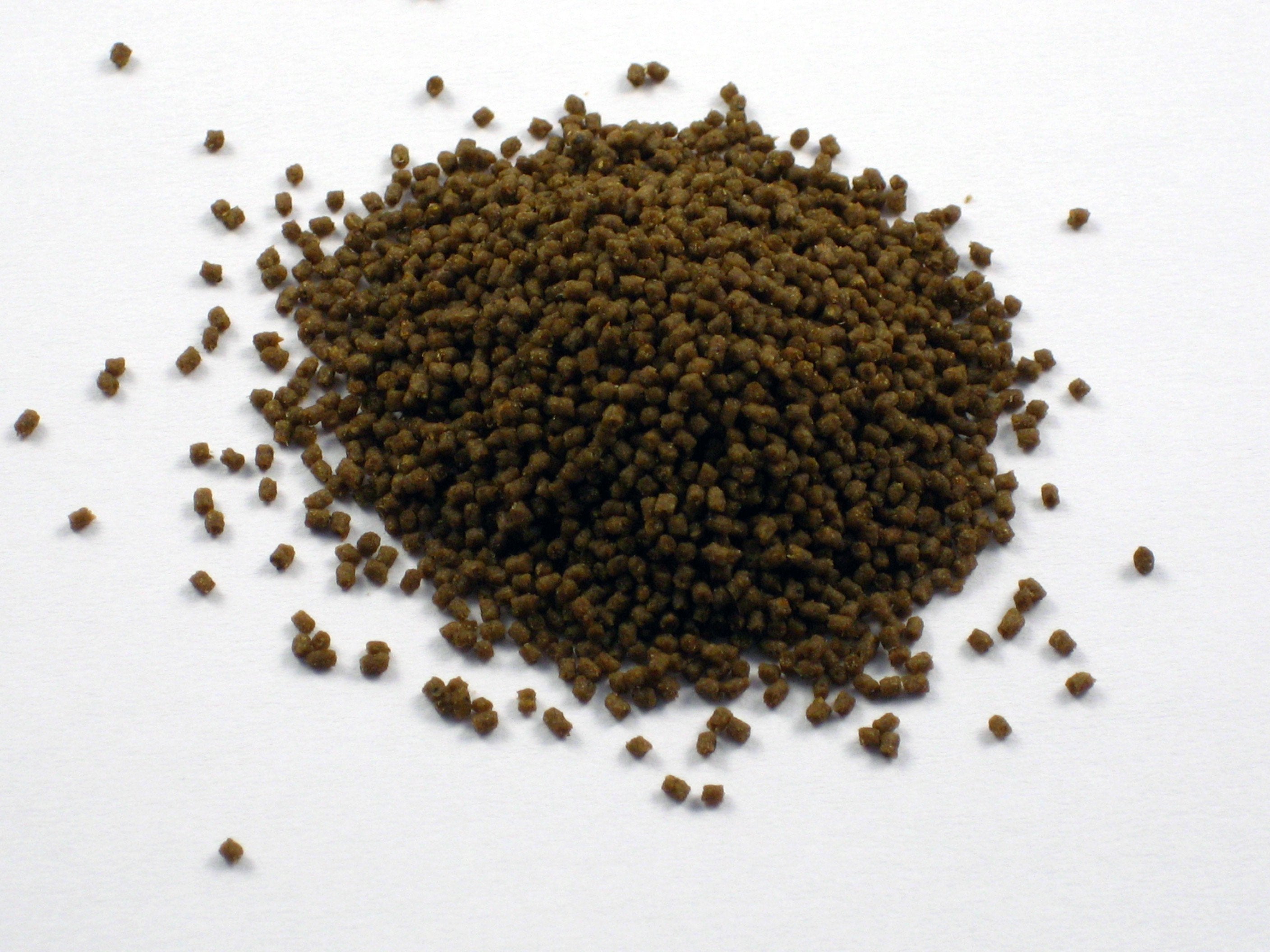 Aquarium Münster Dr. Bassleer BioFish Food - Acai