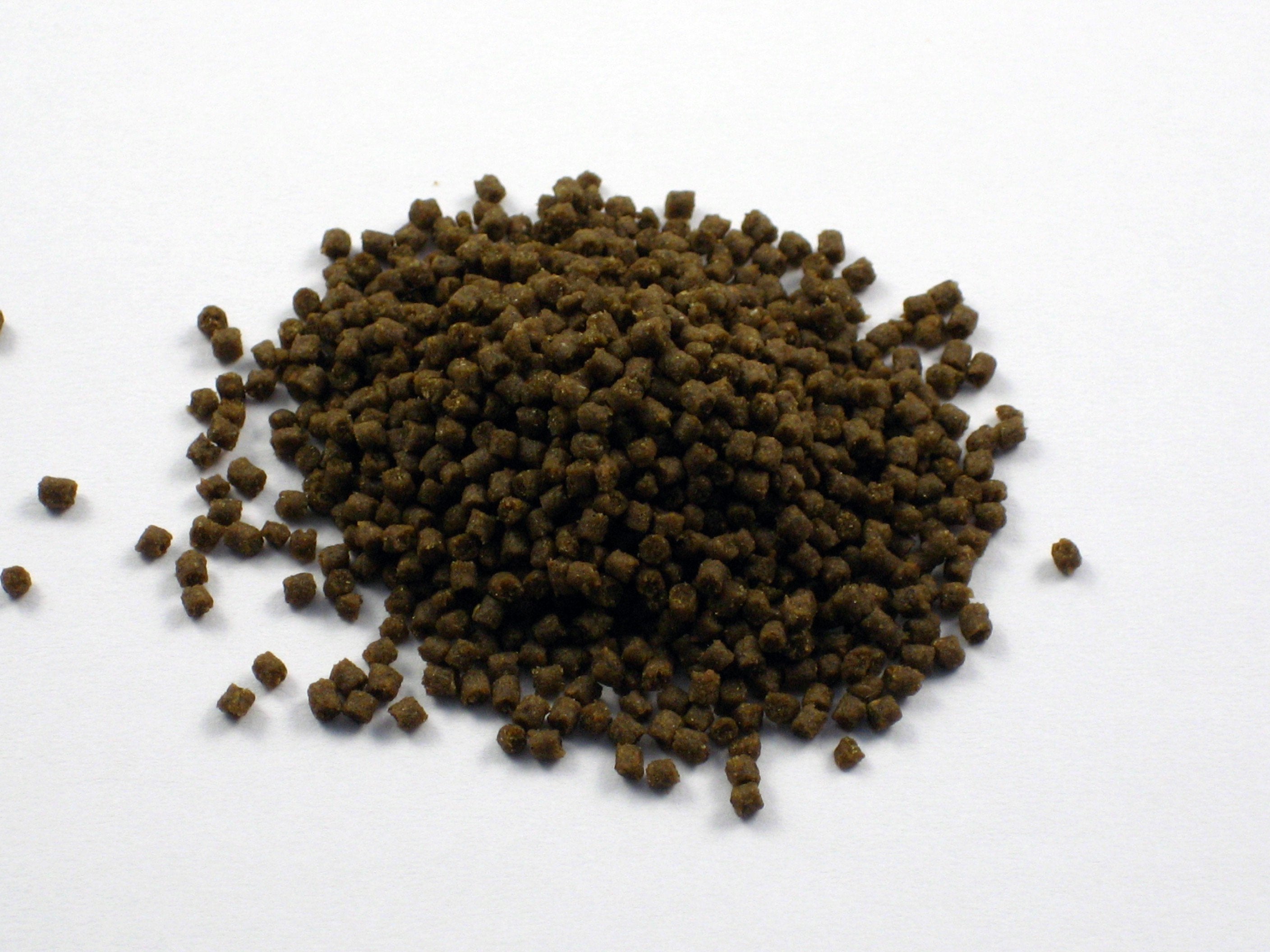 Aquarium Münster Dr. Bassleer BioFish Food - Chlorella