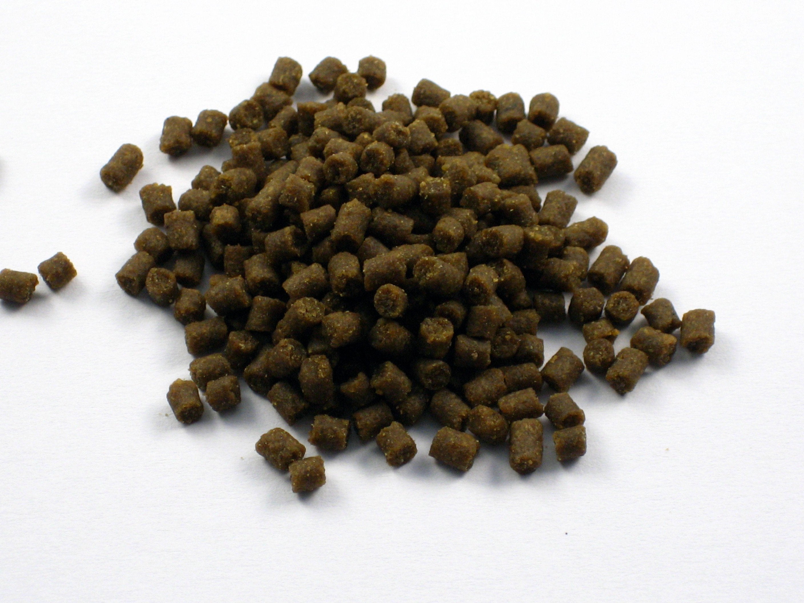 Aquarium Münster Dr. Bassleer BioFish Food - Chlorella