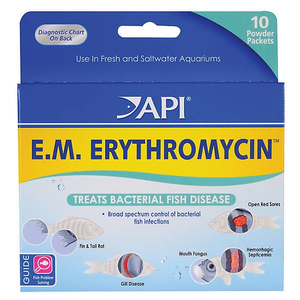 API E.M. Erythromycin