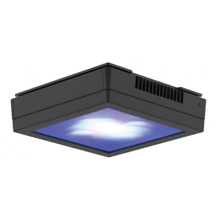 Ecotech Radion Diffuser