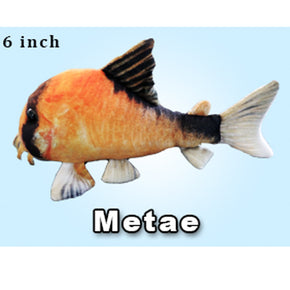 GreenPleco Cory Metae - Aquatica Aquarium Gallery Fish Store Cleveland Ohio