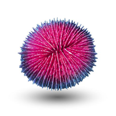 Aquatop Premium Coral Decoration