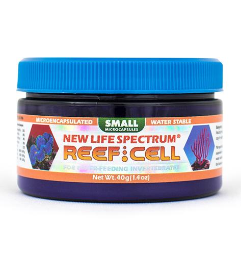 Advanced Cell Formulas