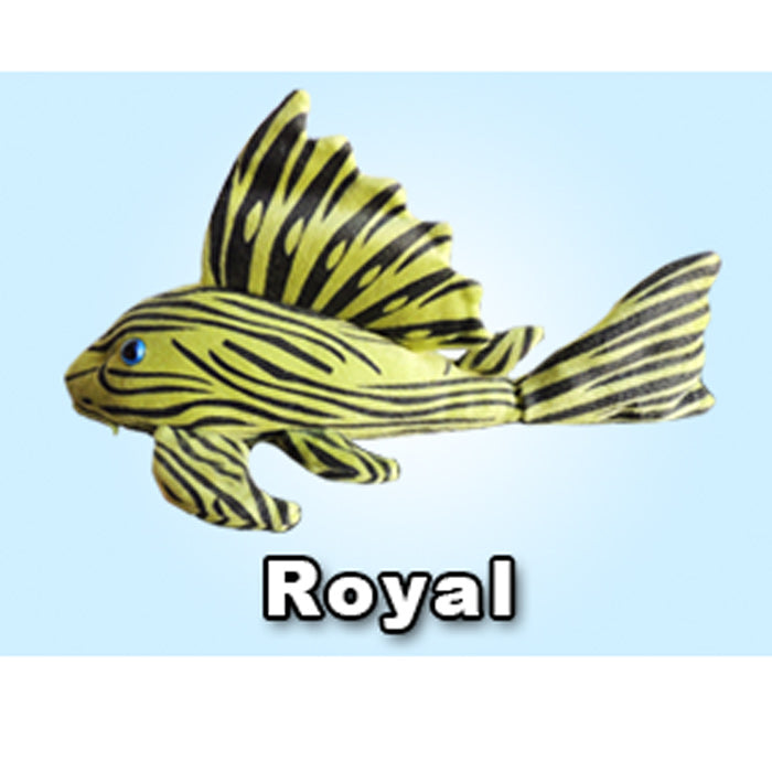 GreenPleco Royal