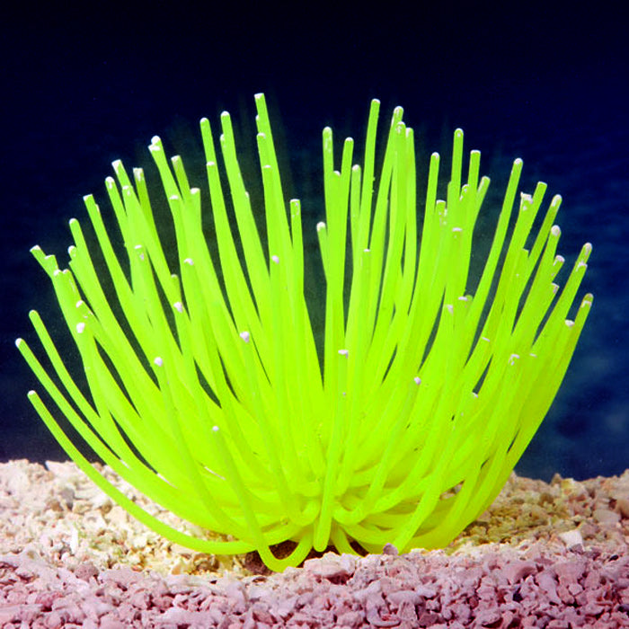 Artificial Anemone Decoration 100% Aquarium Safe