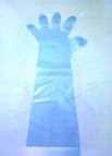 Aqua Blue Glove 24 Inch 3 mil 50 count