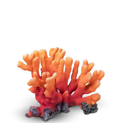 <h1> Decor That Pops<br/><br/></h1>