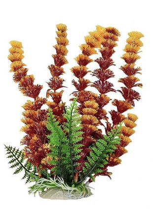 Cabomba w/weighted base Bag & Header, Fire