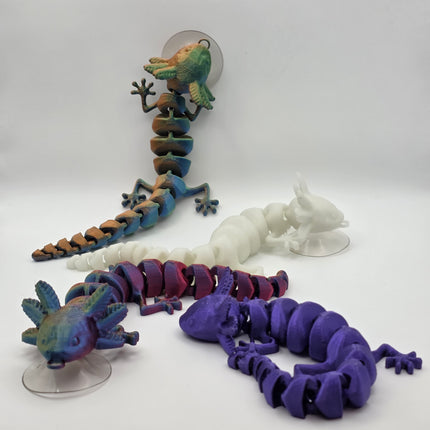 Axolotl With Suction