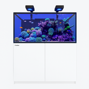 REEFER S-550 G3 Deluxe - White (incl. 2 X RL170 & arms)