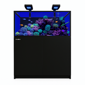 REEFER 300 G3 Deluxe - Black (incl. 2 X RL115 & arms)
