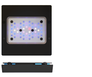 EcoTech Marine Radion Blue XR15 LED Light - Gen 6