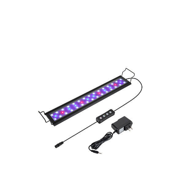 <h1>Lights</h1><h2><br/><br/></h2>