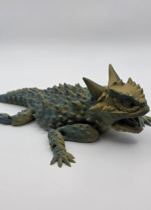 Horned Lizard