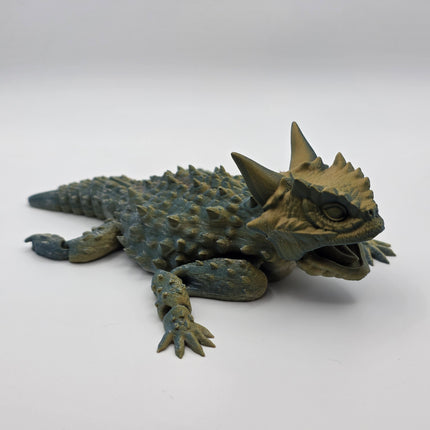 Horned Lizard
