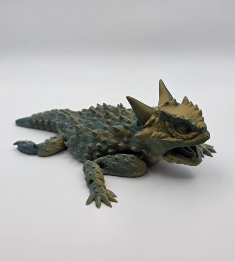 Horned Lizard