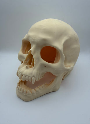 Aquarium Skull Cave Ornament