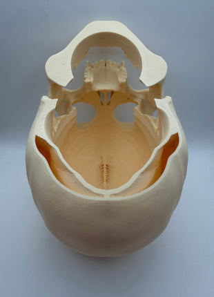 Aquarium Skull Cave Ornament