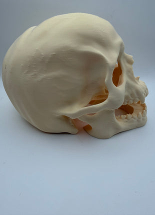 Aquarium Skull Cave Ornament