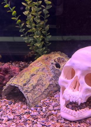 Aquarium Skull Cave Ornament