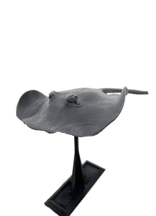 3d Printed Manta Ray
