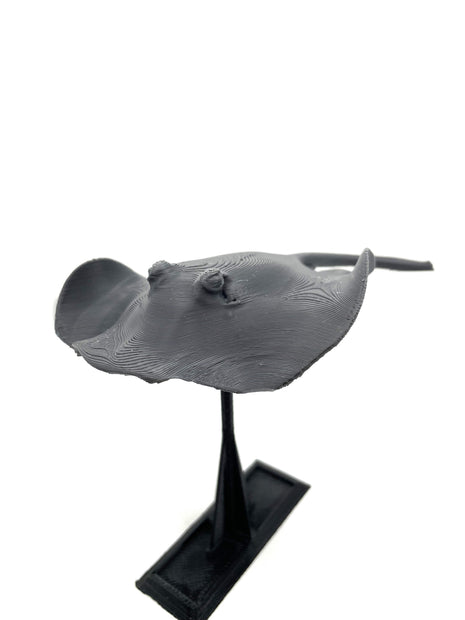 3d Printed Manta Ray - Aquatica Superstore