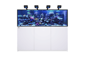 REEFER 750 G3 Deluxe - White (incl. 4 X RL115 & arms)