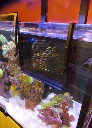 Premium Acrylic Tank Basket - Aquatica Superstore