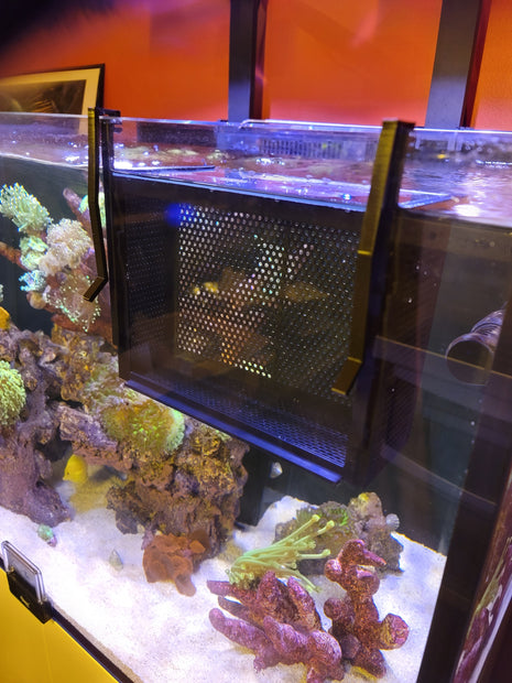 Premium Acrylic Tank Basket - Aquatica Superstore