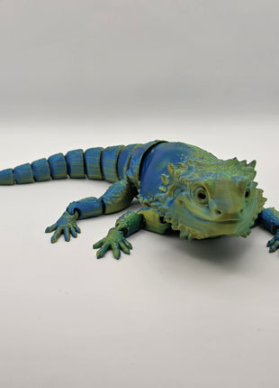 Bearded Dragon