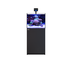 REEFER 170 G3 Deluxe - Black (incl. 1 X RL115 & arm)