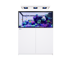 REEFER Peninsula 500 G3 Deluxe - White (incl. 3 X RL115 & pendant)