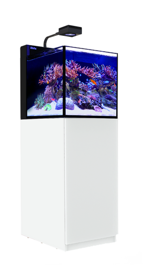 Max Nano Peninsula  G2 - w/ White cabinet