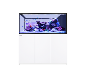 REEFER Peninsula S 700 G3 White