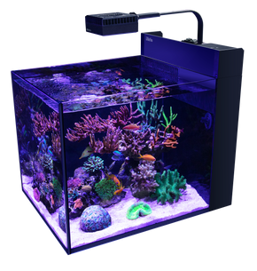 Max Nano Peninsula G2