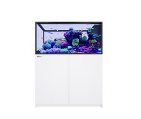 REEFER Peninsula 500 G3 White