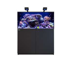 REEFER 425 G3 Deluxe - Black (incl. 2 X RL170 & arms)