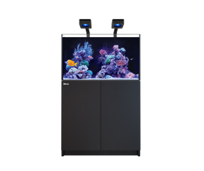 REEFER 250 G3 Deluxe - Black (incl. 2 X RL115 & arms)