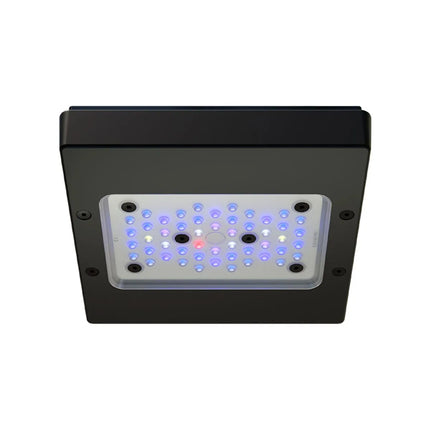 EcoTech Radion XR15W Pro LED Light (G6) - Aquatica Superstore