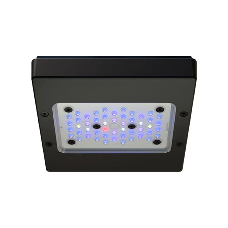 EcoTech Radion XR15W Pro LED Light (G6) - Aquatica Superstore
