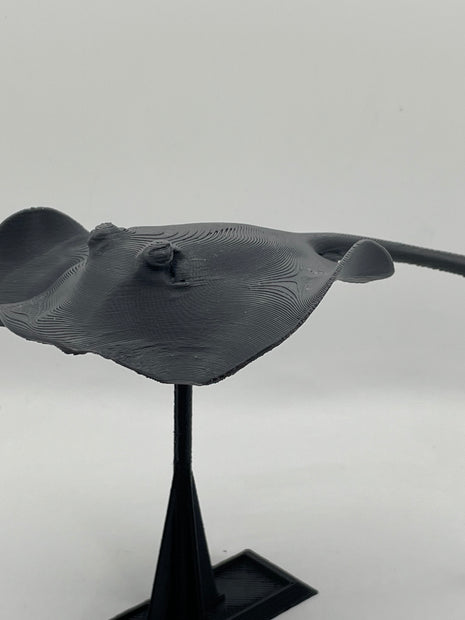 3d Printed Manta Ray