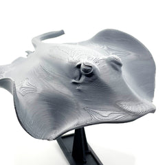 Collection image for: 3D Printed Products